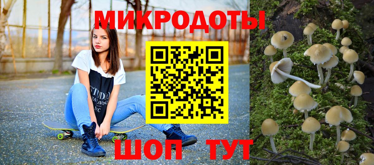 Губаха  Псилоцибиновые грибы MAGIC MUSHROOMS  Вход с VPN 